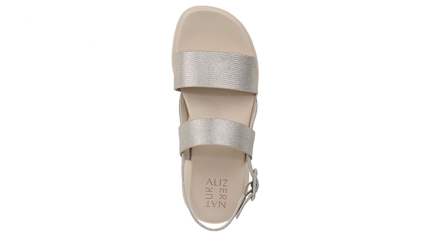 Warm Silver