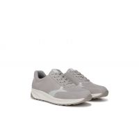 Ice Grey